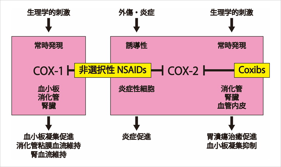 日本ペインクリニック学会