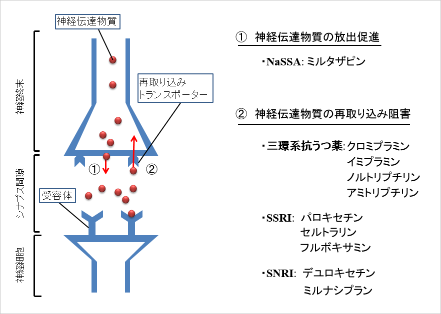 日本ペインクリニック学会